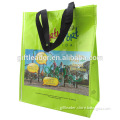 Wholesale Cheap PET Shopping Food Bag
